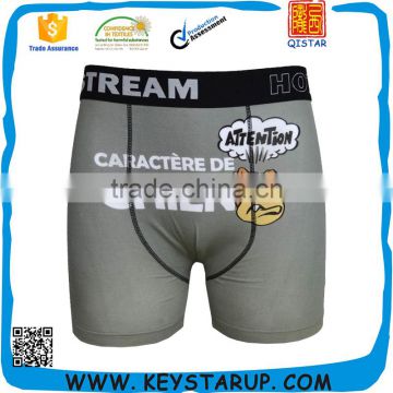 Latest Lovely Cartoon Male Spandex Cotton Underwear Boxer Briefs