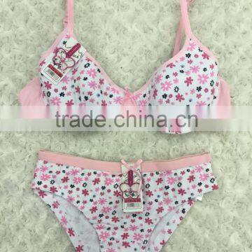 Lovely Printing Little Girls Panties Young Girl's Underwear photo-2