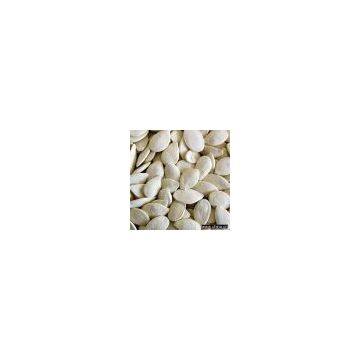 Sell Roasted-Salted Pumpkin Seed