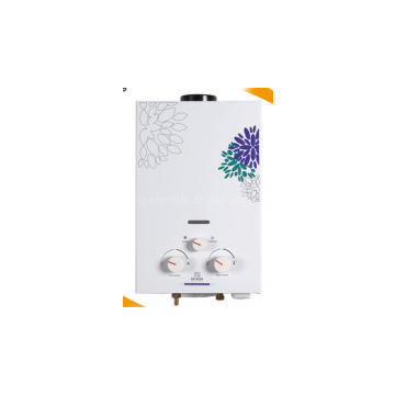 6L Flue type instant gas water heater