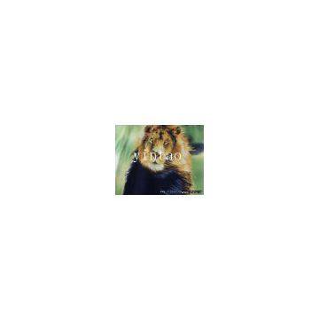 polar fleece