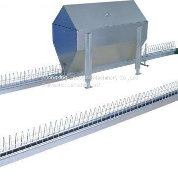 Automatic chicken chain feeding system