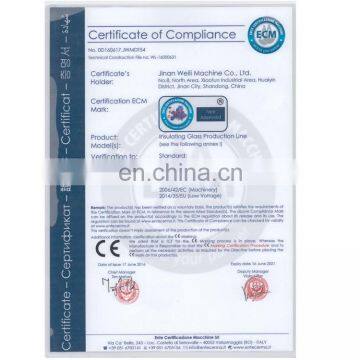 WLSP2500 Automatic Insulating Glass Loading Machine photo-6