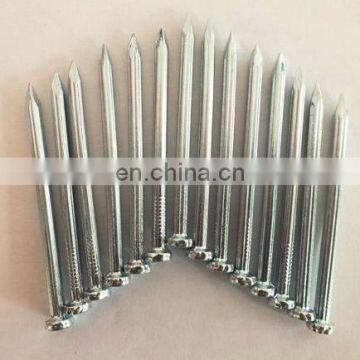 Galvanized concrete steel nails supplier