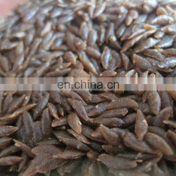 Twin Screw Extruder CE Standard Automatic Nutrition Artificial Rice Making Machine photo-4