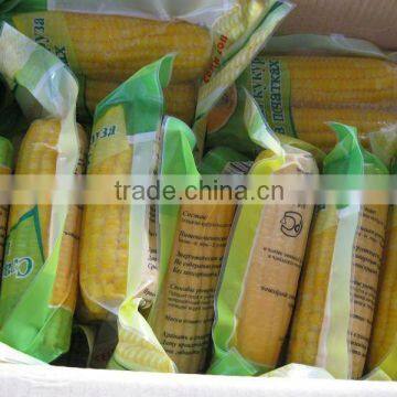 USA Frozen Yellow Sweet Corn Exporting Vietnam photo-2
