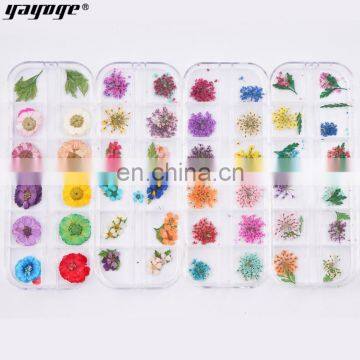 2021 New Arrivals Nail Accessories Natural Dry Flower For Nail Art Decoration photo-3