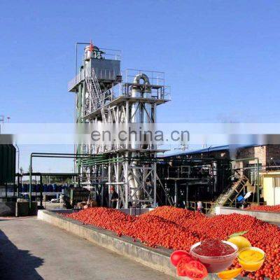 Tomato Crusher machine Manufactured in shanghai Gofun