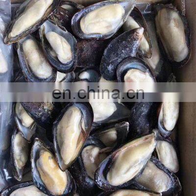 Frozen Mussel Half Shell Mussel Meat