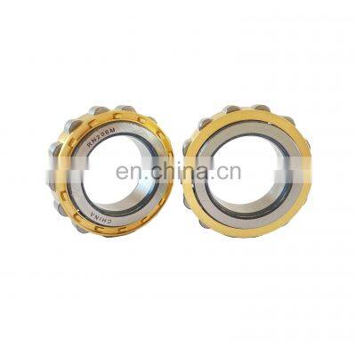 Reducer Eccentric Roller Bearings RN205 206 207 208 209 219 222 228EM Bearing