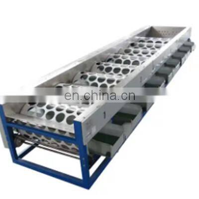 Two Types to Choose Blueberry Sorting Machine/Blueberry Sorter/Blueberry Grading Machine