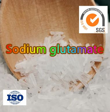 CAS 142-47-2 99%purity  Sodium glutamate