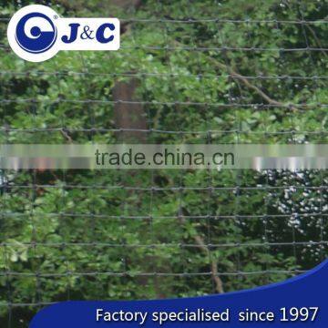 Bespoke Size Anti Pigeon Protection Netting,greenhouse Net , Anti Bird Protection Net,PE Agricultural Bird Netting photo-3