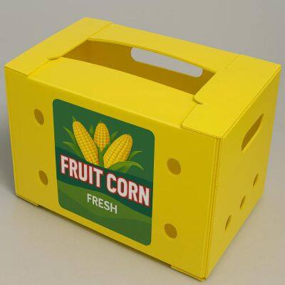 Wholesale Corrugated Plastic / Coroplast Boxes for Fruit and Vegetable photo-4