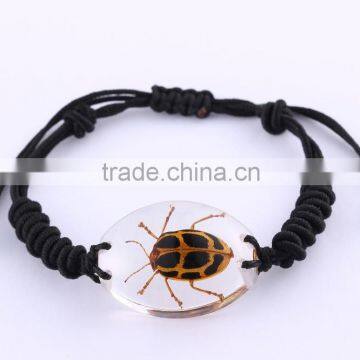 2016 new fashion smart real insect bracelet of ember for promotion gifts