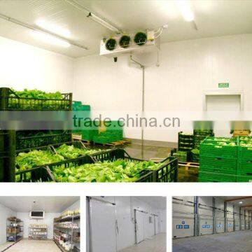 supermarket store cold room for food in South America