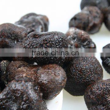 tuber magnatum truffle mushroom best price