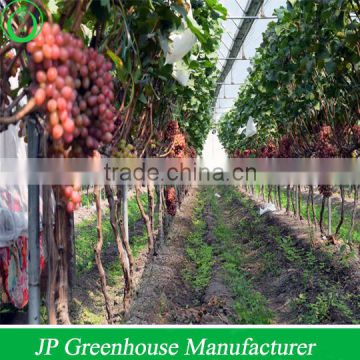 Hot Dipped Galvanized Professional Greenhouses Used