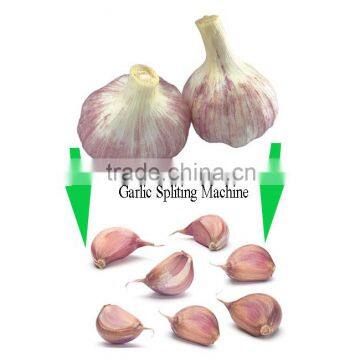 Electrical Automatic Garlic Break Machines With High Efficient photo-6
