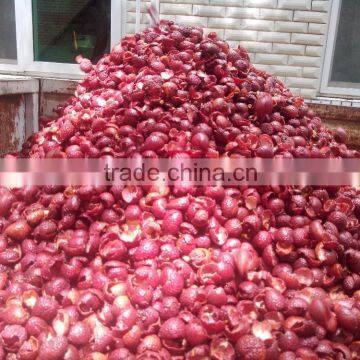 Litchi Pre-treatment Production Line photo-5