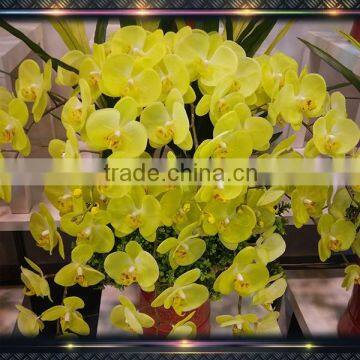 Wholesale artificial latex flowers orchids