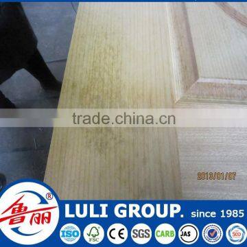 E2 Wood Door Skin in LULI Group