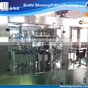 Beverage Filling Machine/Food Packaging Machine