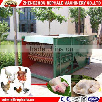 Lagre capacity chicken scalding and plucking machine on sale