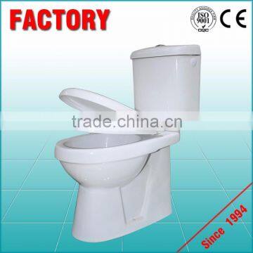 Beautiful home decoration Chinese toilet TFZ-06CD cheap toilet ceramic