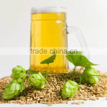 hot beer barley in summer,origin Australia