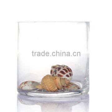 Mini Clylinder Fish Bowl