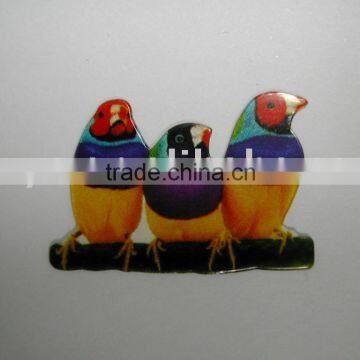 Printed Plastic Label for Electronic Products