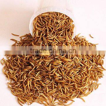 Dried Mealworms for Poultry