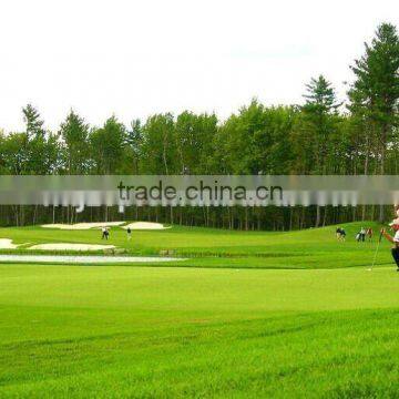 Artificial fake turf artificial grass golf carpet