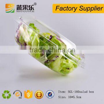 Wholesale Food Grade Plastic Salad Box
