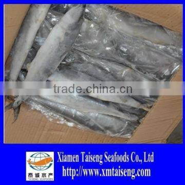 High Quality Seafood Frozen Round Whole Spanish Mackerel