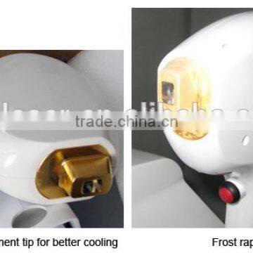 2014 Dilas Bar Beauty Salon 810nm808nm Diode Laser China/portable Diod Lazer Epilasyon photo-2