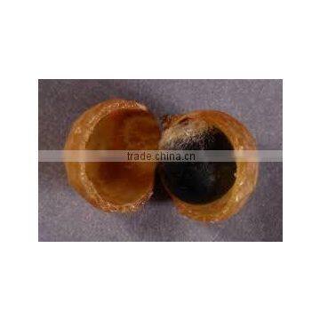 Soapnut Herbal Product Exporter In Indian//Second Grade photo-5