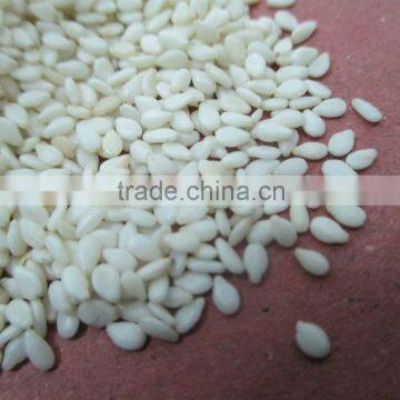 Hulled Sesame Seeds Supplier in India - Organic