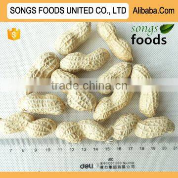 Best Groundnut Price In China