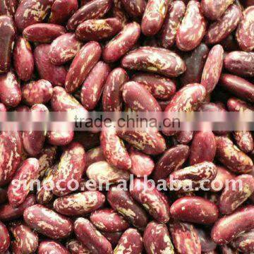 Kidney Bean in China photo-1