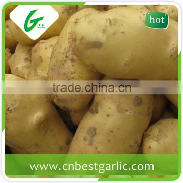 Cold storage for fresh potato