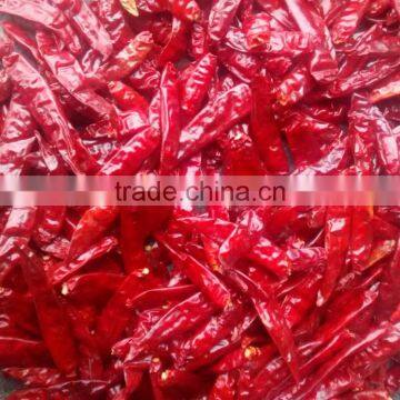 DRIED CHILLI photo-4