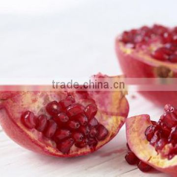 Factory Supply Pomegranate Extract Powder