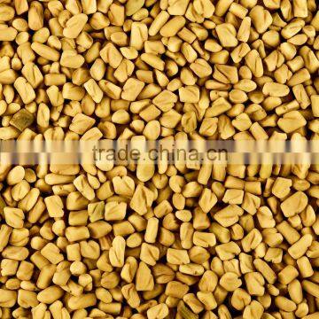 High Quality Fenugreek seed