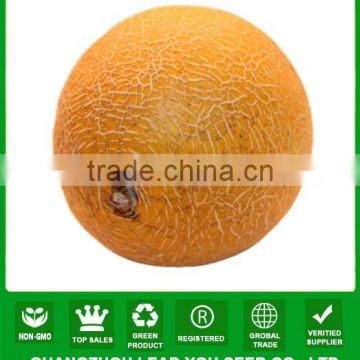 NSM13 Leisi Hybrid quality musk melon seeds for sale