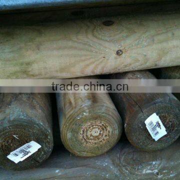 Carbonized Softwood and Hardwood Stake