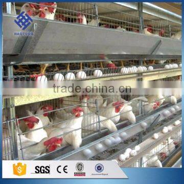 30 Years' Factory Supply Automatic Chicken Broiler Cages photo-4