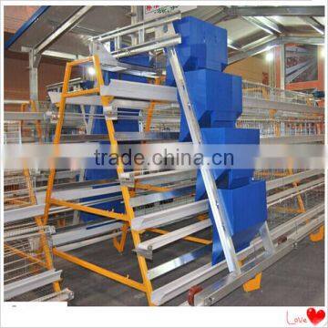 popular chicken cage poultry equipment with feeding and drinking system