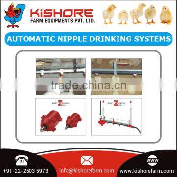 Professional Automatic Poultry Nipple Drinking System at Good Price